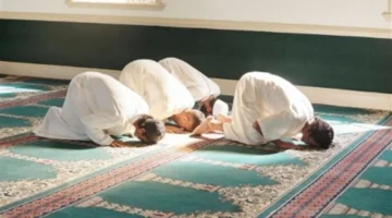 ما الفرق بين التهجد وقيام الليل وأفضل أوقات استجابة الدعاء؟